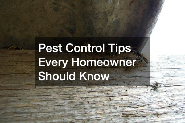 Pest Control Tips Every Homeowner Should Know