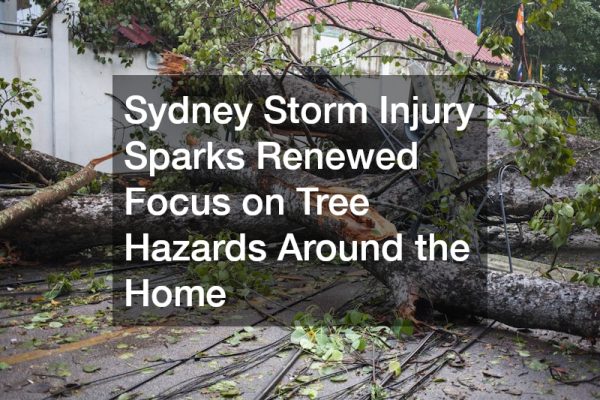 Sydney Storm Injury Sparks Renewed Focus on Tree Hazards Around the Home